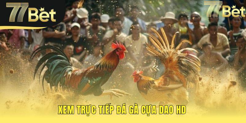Xem trực tiếp đá gà cựa dao có chất lượng HD sắc nét